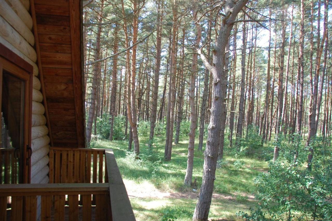 Edmundas Palanga Exterior foto
