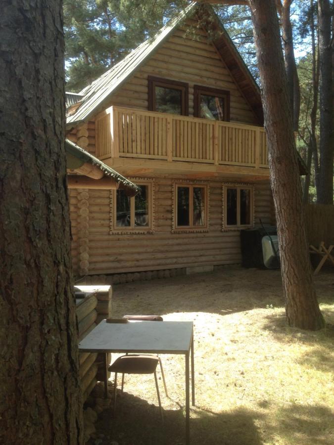 Edmundas Palanga Exterior foto